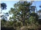 L3 Skeggs Avenue, White Beach TAS 7184