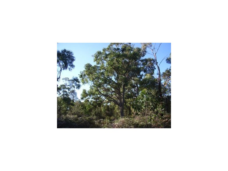L3 Skeggs Avenue, White Beach TAS 7184