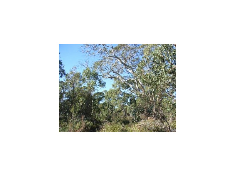 L3 Skeggs Avenue, White Beach TAS 7184