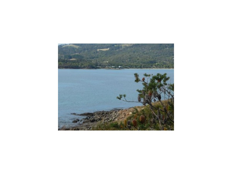 582 White Beach Rd, White Beach TAS 7184