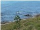 582 White Beach Rd, White Beach TAS 7184