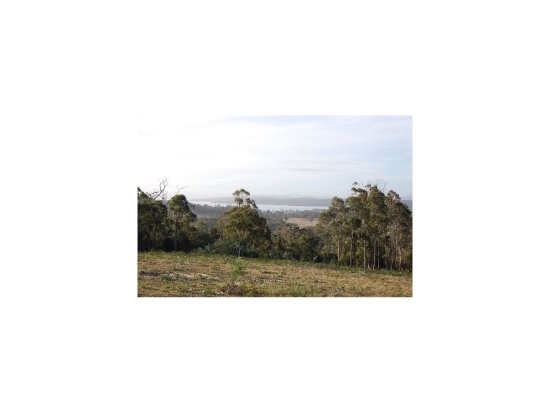 248 Kelletts Rd, Sloping Main TAS 7186