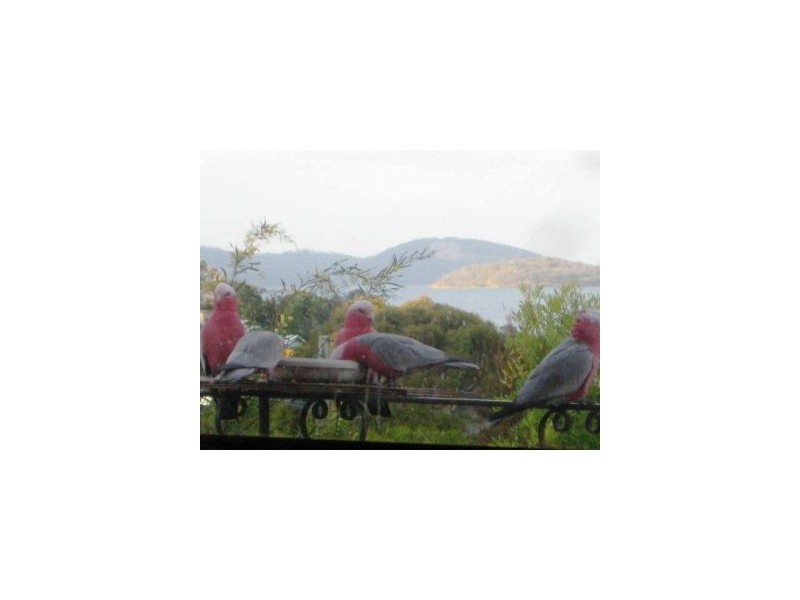 30 Myrica Street, Primrose Sands TAS 7173