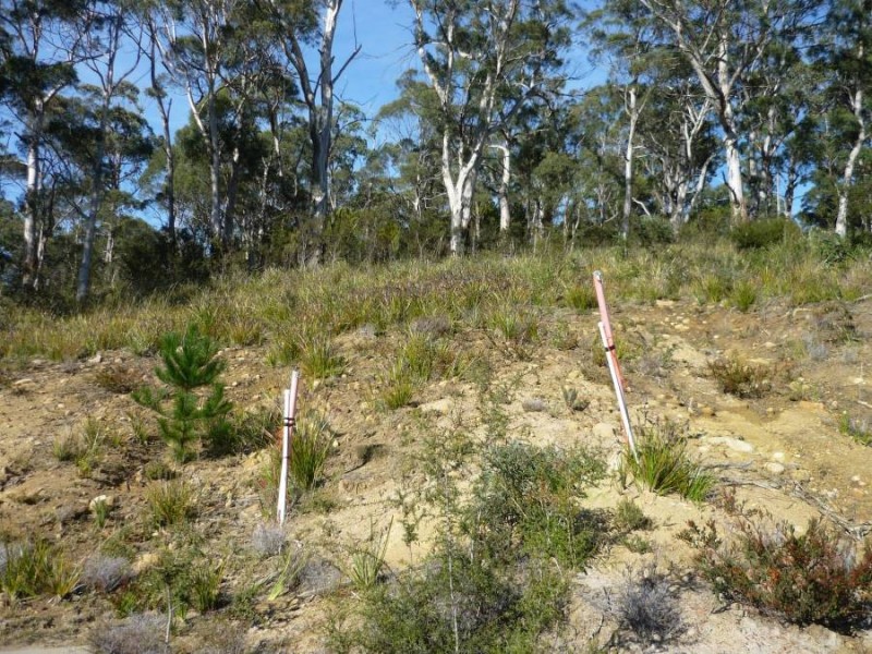 Lot 13 George Street, Nubeena TAS 7184