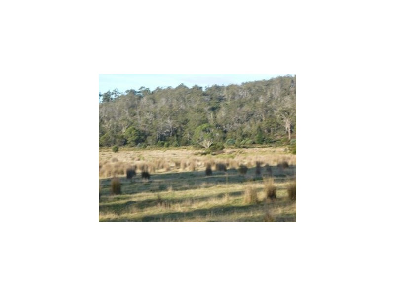 55 Kelletts Rd, Sloping Main TAS 7186