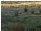 55 Kelletts Rd, Sloping Main TAS 7186
