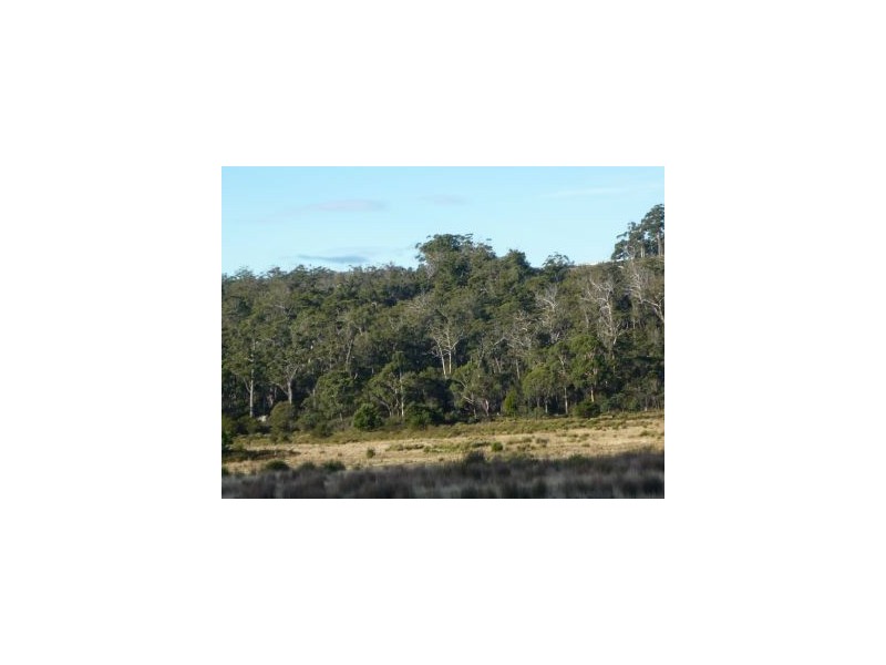 55 Kelletts Rd, Sloping Main TAS 7186