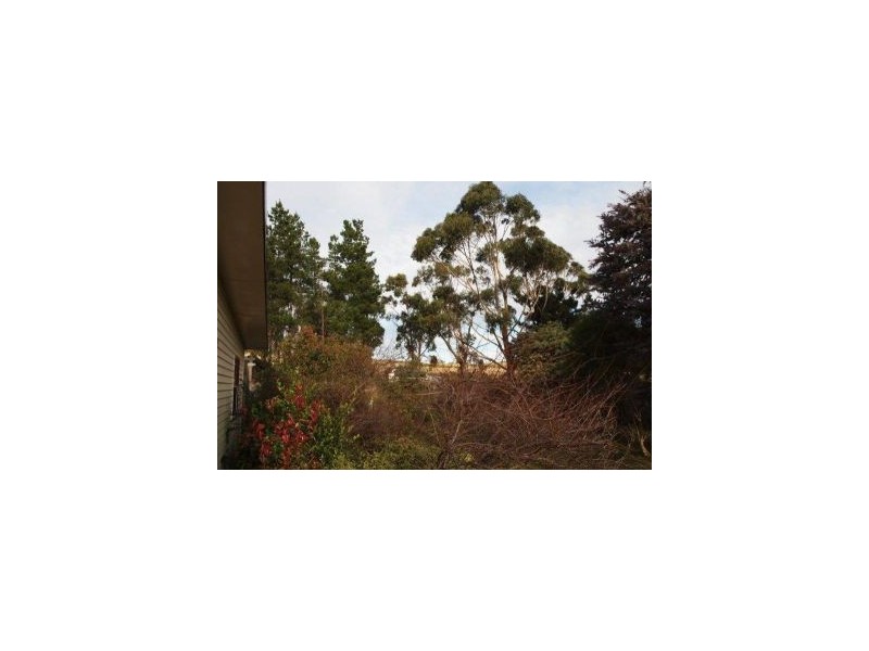 2094 Arthur Highway, Copping TAS 7174
