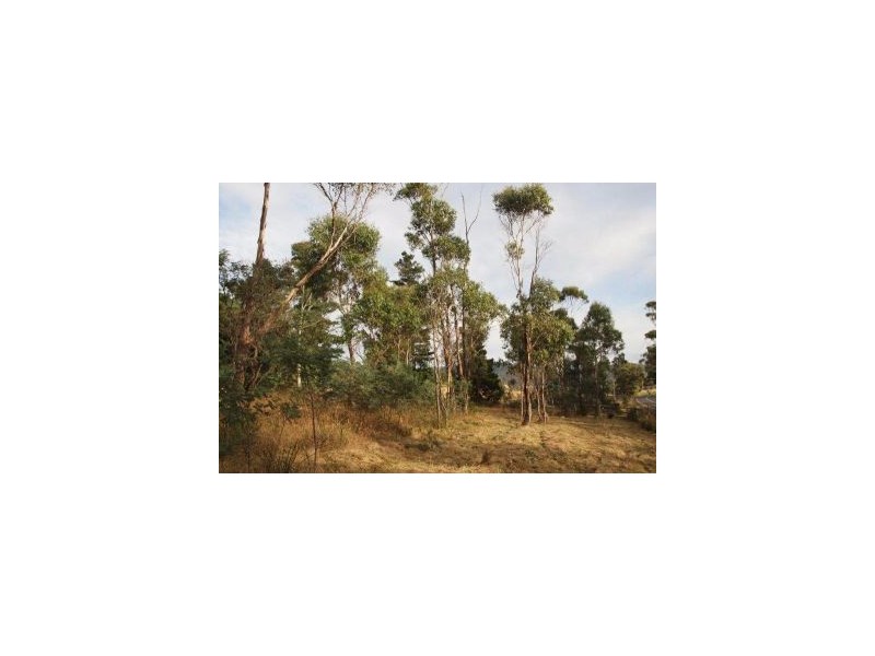 2094 Arthur Highway, Copping TAS 7174