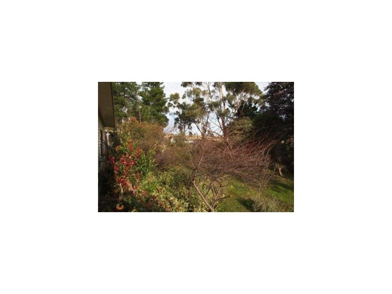 2094 Arthur Highway, Copping TAS 7174