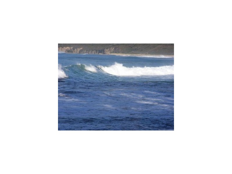 Lot 1 443 Pirates Bay Dr, Eaglehawk Neck TAS 7179