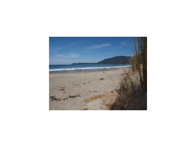 Lot 1 443 Pirates Bay Dr, Eaglehawk Neck TAS 7179