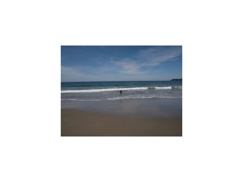 Lot 1 443 Pirates Bay Dr, Eaglehawk Neck TAS 7179