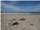 Lot 1 443 Pirates Bay Dr, Eaglehawk Neck TAS 7179