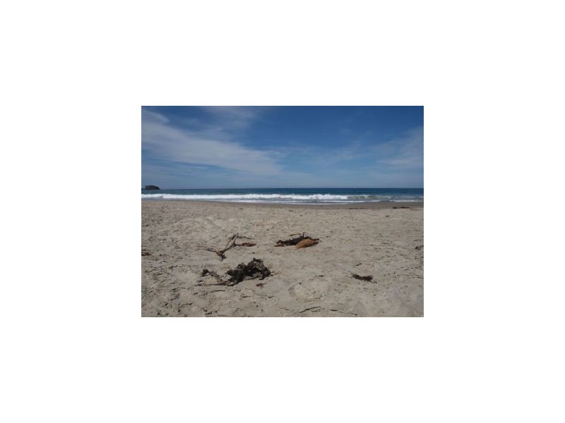 Lot 1 443 Pirates Bay Dr, Eaglehawk Neck TAS 7179