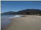 Lot 1 443 Pirates Bay Dr, Eaglehawk Neck TAS 7179