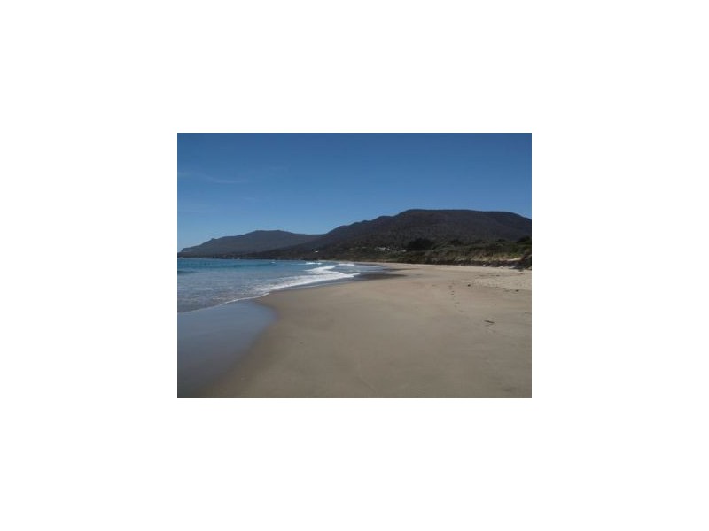 Lot 1 443 Pirates Bay Dr, Eaglehawk Neck TAS 7179