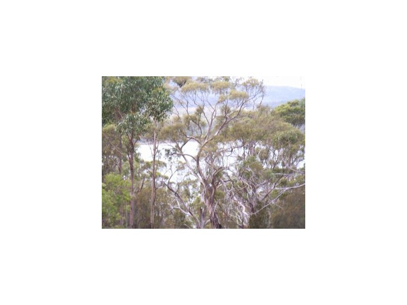 Lot 1 Arthur Highway, Murdunna TAS 7178