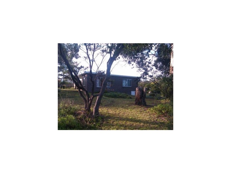 17 Webb St, Dodges Ferry TAS 7173