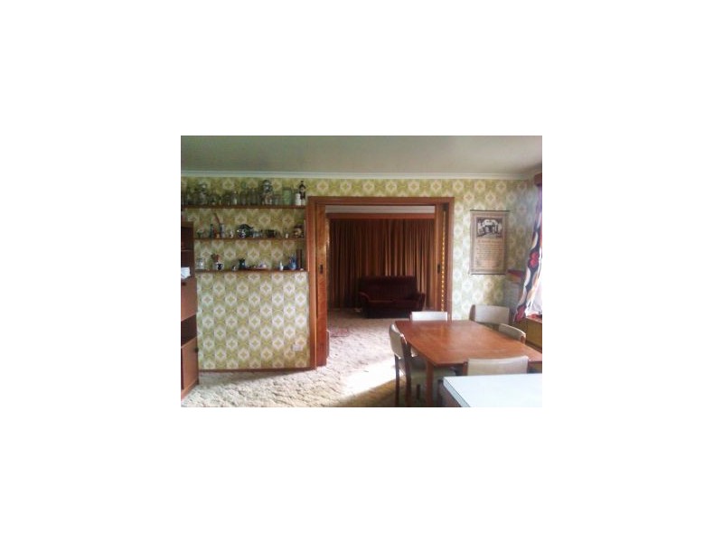 17 Webb St, Dodges Ferry TAS 7173