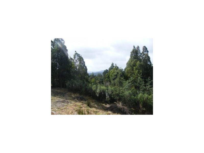 83 A Robertson Rd, Lachlan TAS 7140