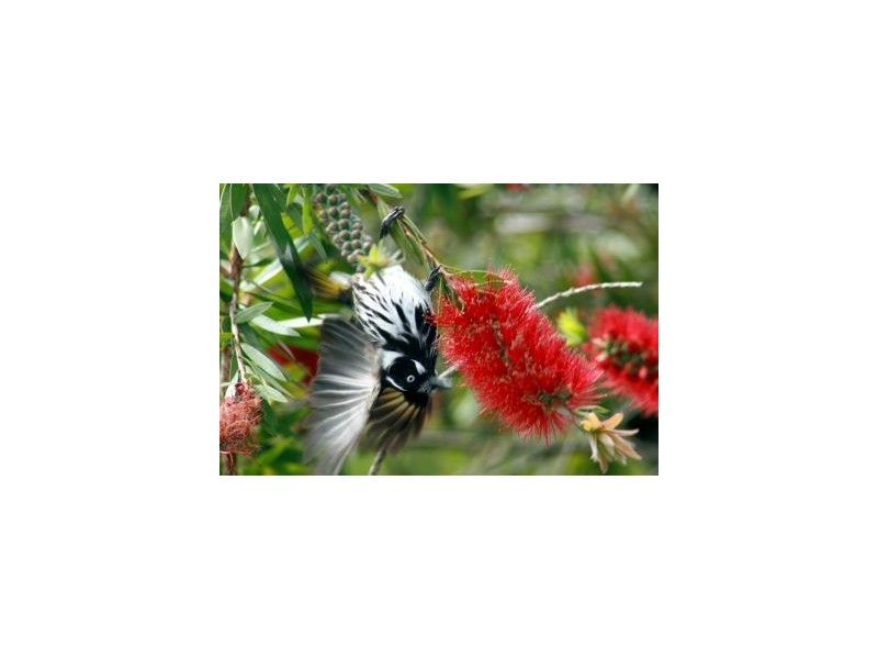 59 Heywards Rd, Koonya TAS 7187