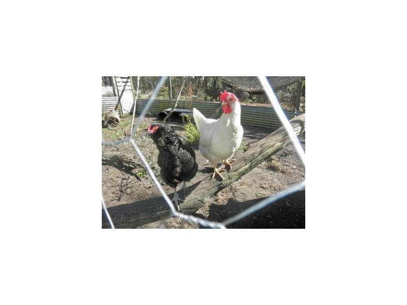 59 Heywards Rd, Koonya TAS 7187