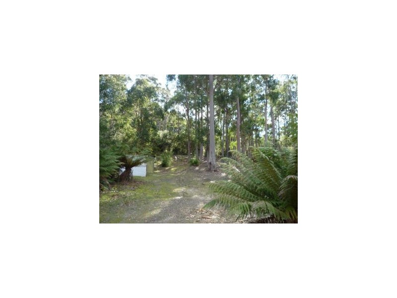 206a Old Jetty Rd, Eaglehawk Neck TAS 7179