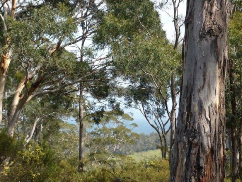 Lot 1 George St, Nubeena TAS 7184