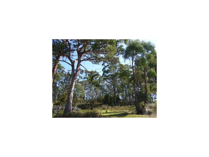 335a Bay Rd, Boomer Bay TAS 7177