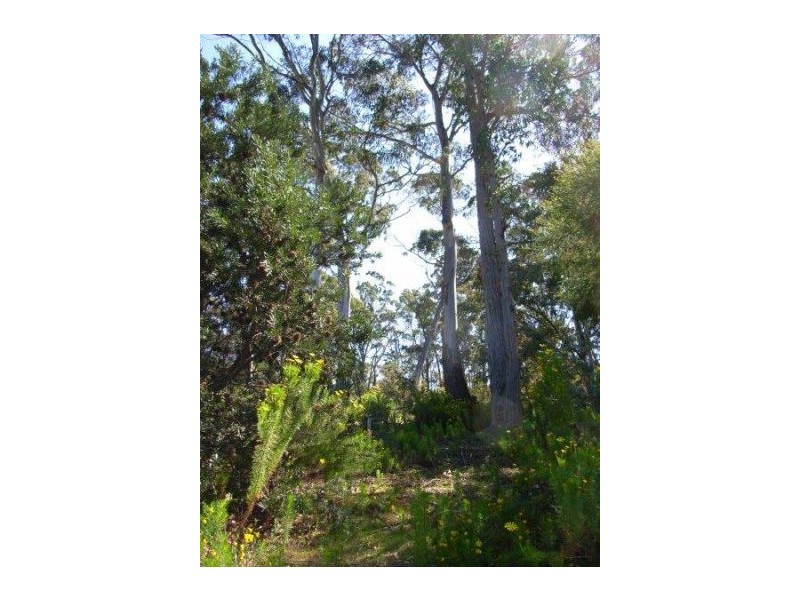 335a Bay Rd, Boomer Bay TAS 7177