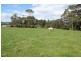 Lot 1 Saltwater River Rd, Premaydena TAS 7185