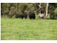 Lot 1 Saltwater River Rd, Premaydena TAS 7185