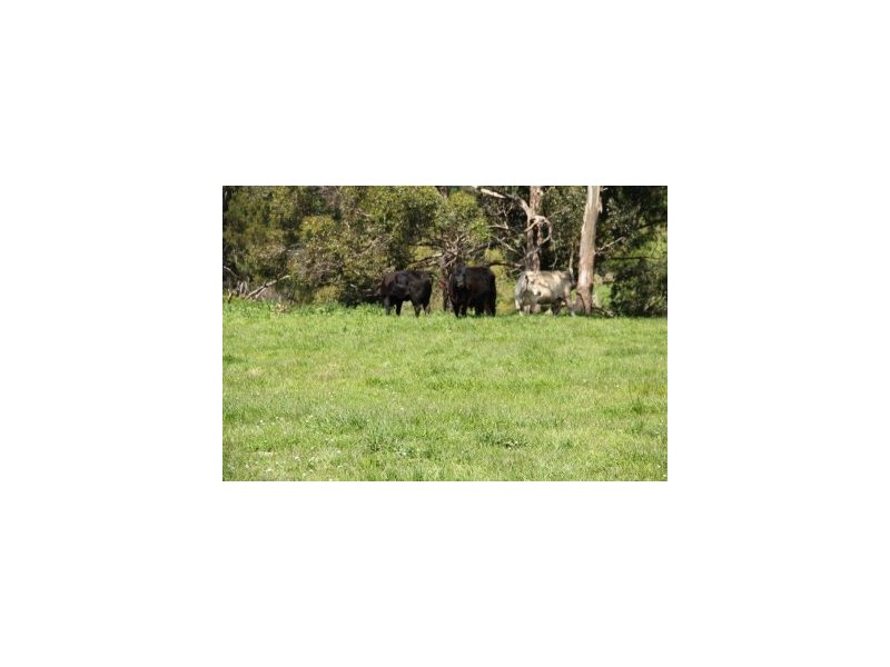 Lot 1 Saltwater River Rd, Premaydena TAS 7185