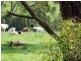 Lot 1 Saltwater River Rd, Premaydena TAS 7185