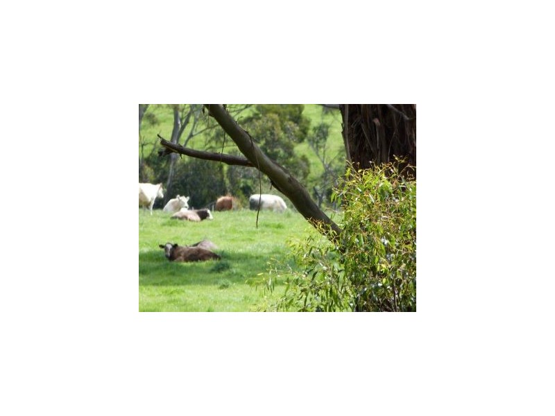 Lot 1 Saltwater River Rd, Premaydena TAS 7185