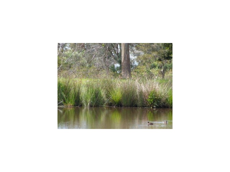Lot 1 Saltwater River Rd, Premaydena TAS 7185