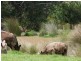 Lot 1 Saltwater River Rd, Premaydena TAS 7185