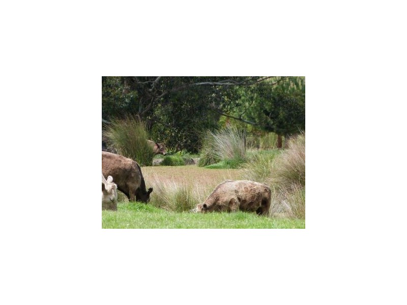 Lot 1 Saltwater River Rd, Premaydena TAS 7185