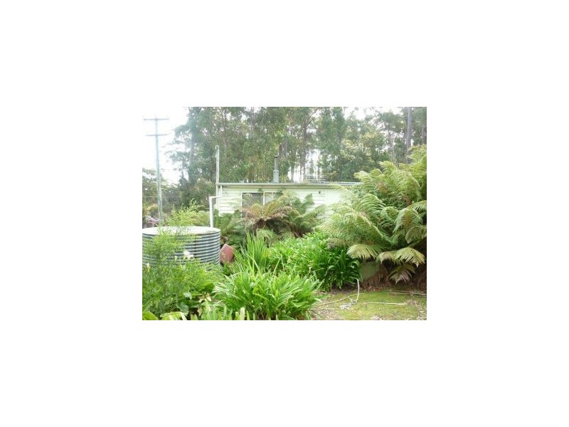 206 old Jetty Rd, Eaglehawk Neck TAS 7179