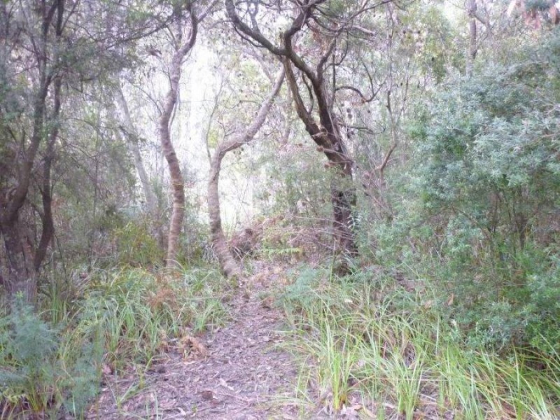 206a Old Jetty Road, Eaglehawk Neck TAS 7179