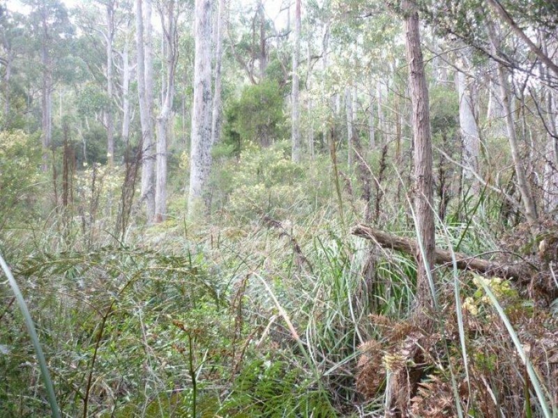 206a Old Jetty Road, Eaglehawk Neck TAS 7179