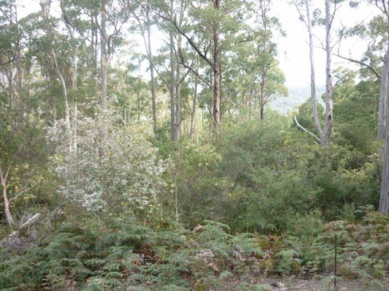 206a Old Jetty Road, Eaglehawk Neck TAS 7179