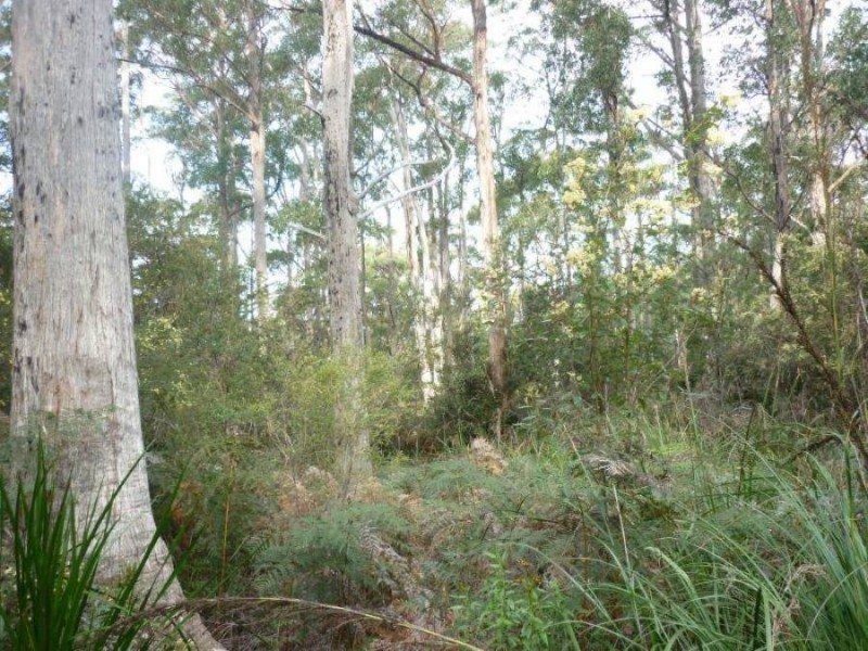 206a Old Jetty Road, Eaglehawk Neck TAS 7179