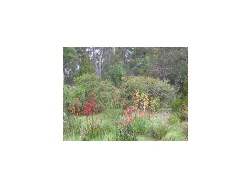 3834 Arthur Hwy, Murdunna TAS 7178