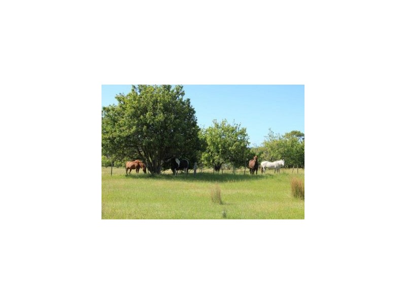 8a Arthur Hwy, Dunalley TAS 7177