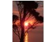 White Beach TAS 7184