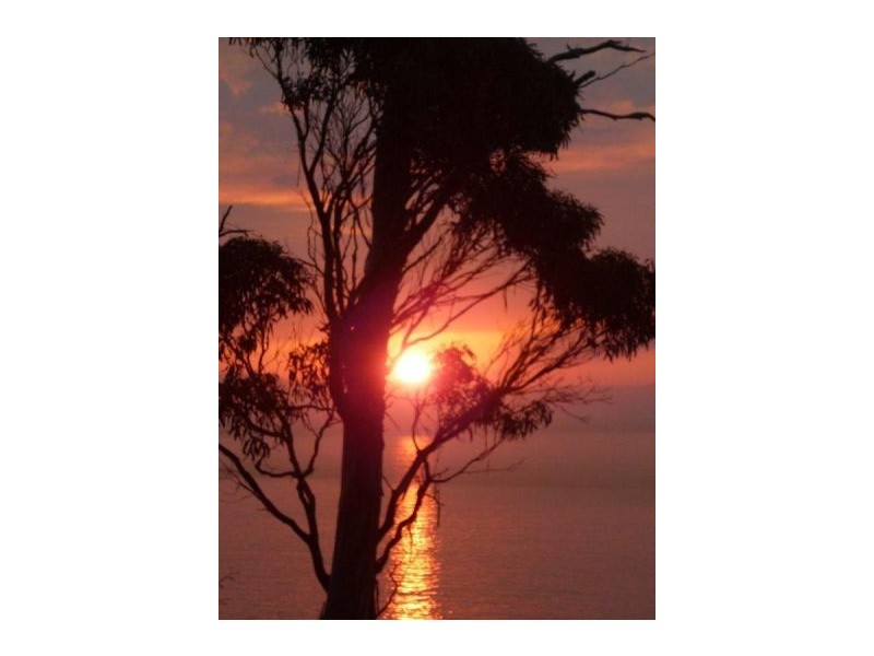 White Beach TAS 7184