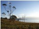 White Beach TAS 7184