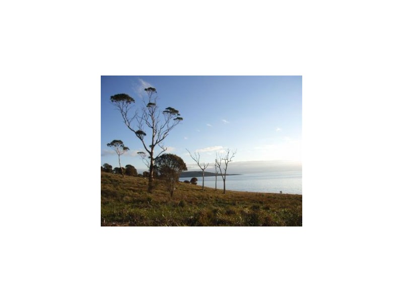 White Beach TAS 7184
